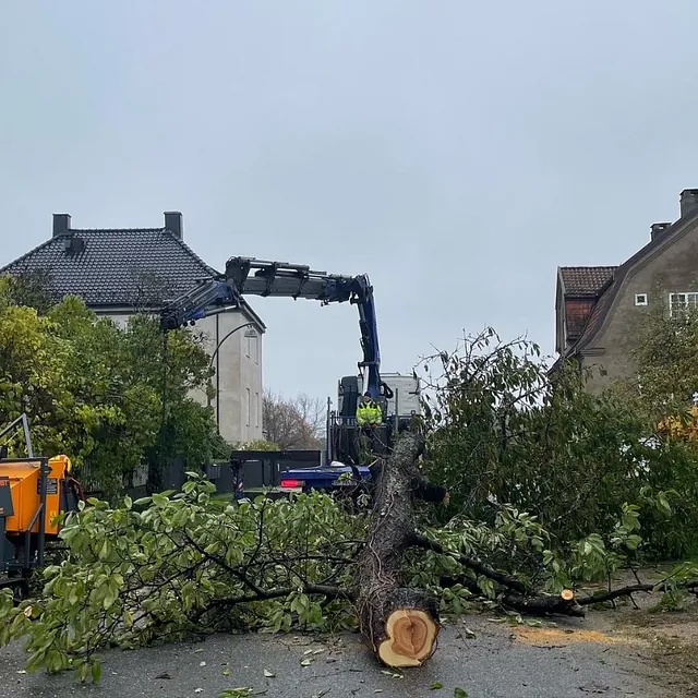 Tre felt i midten av trafikkert vei