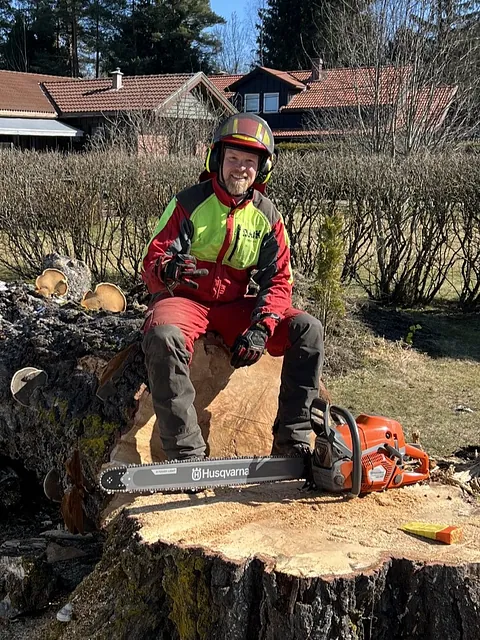 Trefeller Chris Nicolay sitter på nyhugget tre